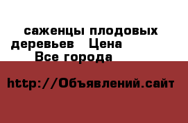 саженцы плодовых деревьев › Цена ­ 6 080 - Все города  »    